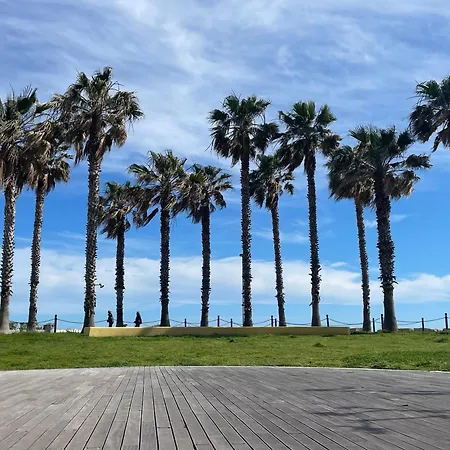 Casa Del Cardinale 公寓 圣托·斯特凡诺·阿尔马尔